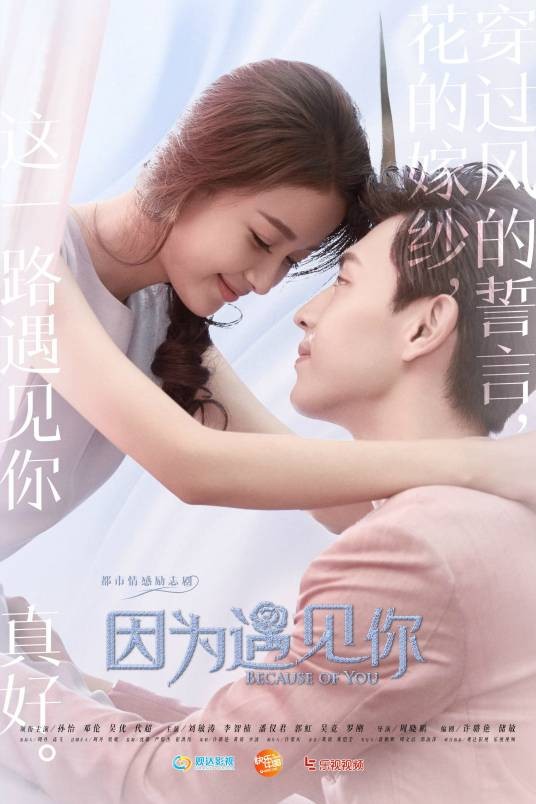 因为遇见你（2017年孙怡、邓伦主演的都市情感励志剧）