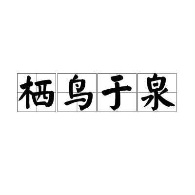 栖鸟于泉