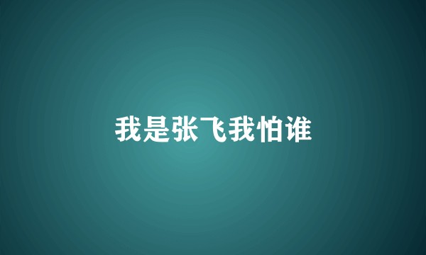 我是张飞我怕谁