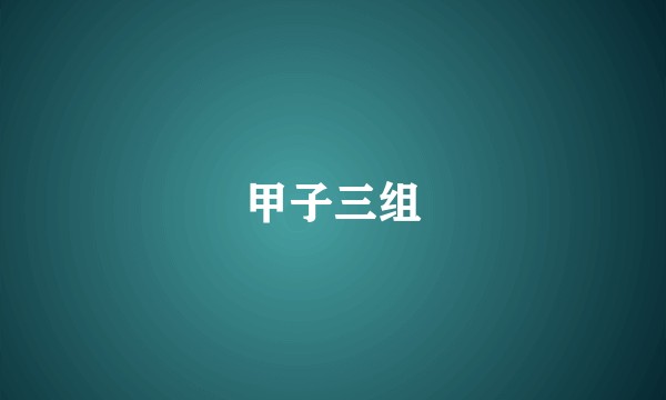 甲子三组