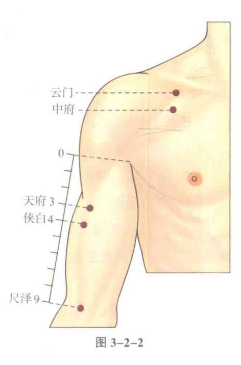 天府（人体腧穴）