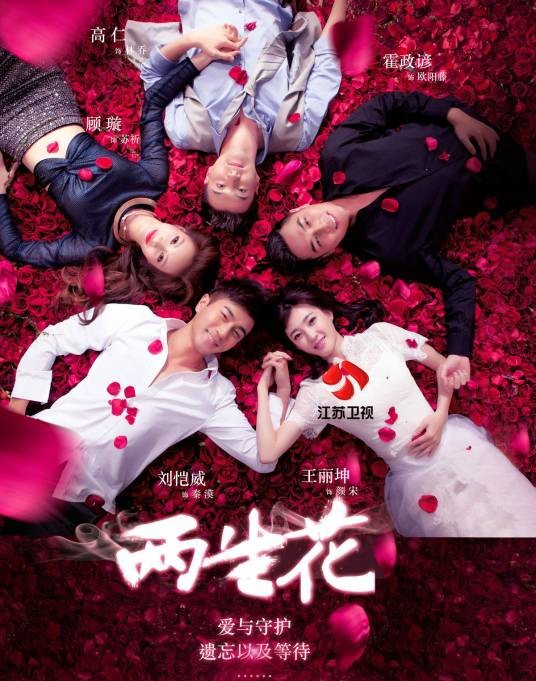 两生花(2015年林添一执导的电视剧)
