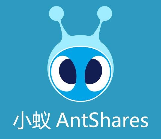 小蚁