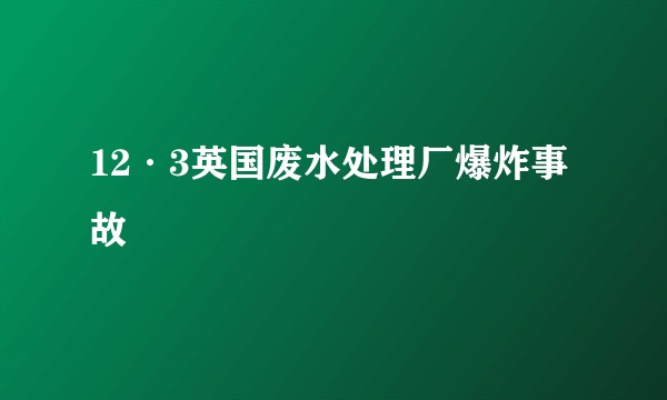 12·3英国废水处理厂爆炸事故