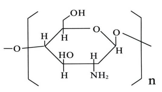 β-壳聚糖