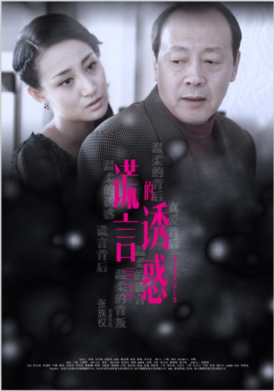 谎言的诱惑(2014年张族权执导的都市情感伦理剧)