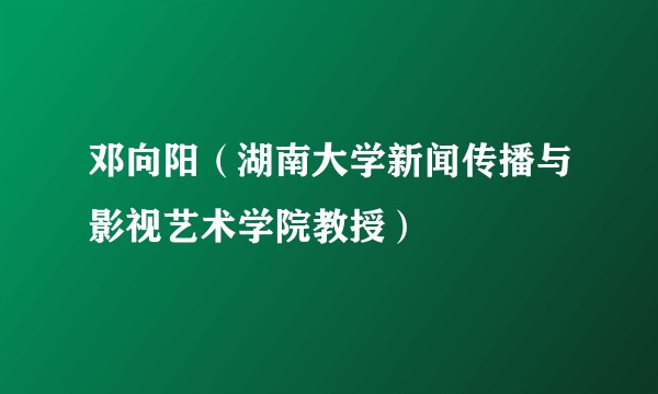 邓向阳(湖南大学新闻传播与影视艺术学院教授)