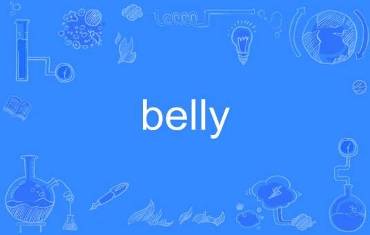 belly（英语单词）