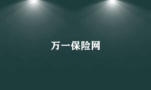 万一保险网