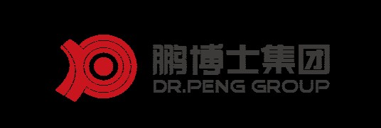 鹏博士电信传媒集团股份有限公司