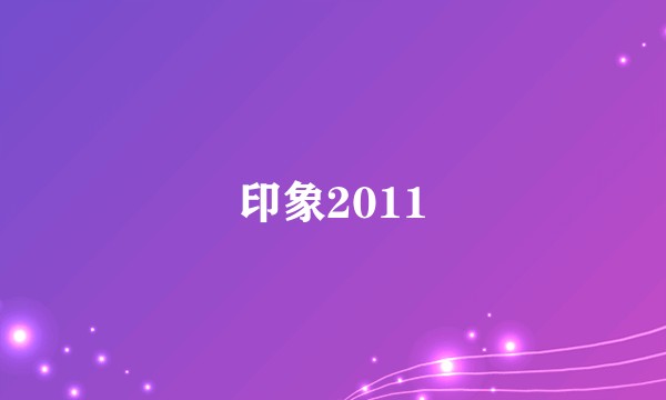 印象2011