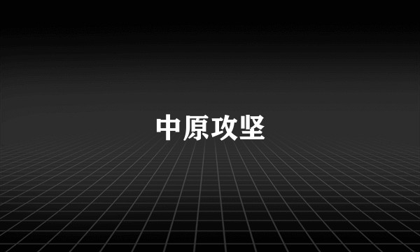 中原攻坚