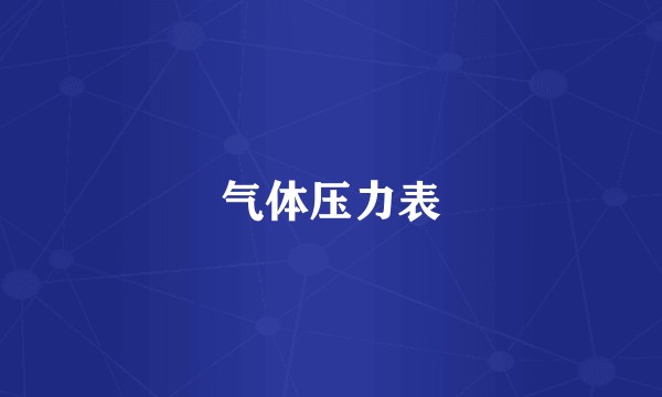 气体压力表