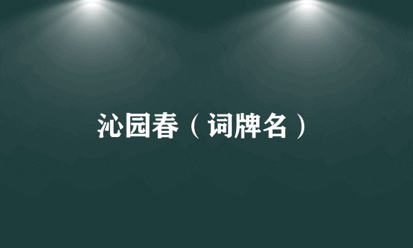 沁园春（词牌名）