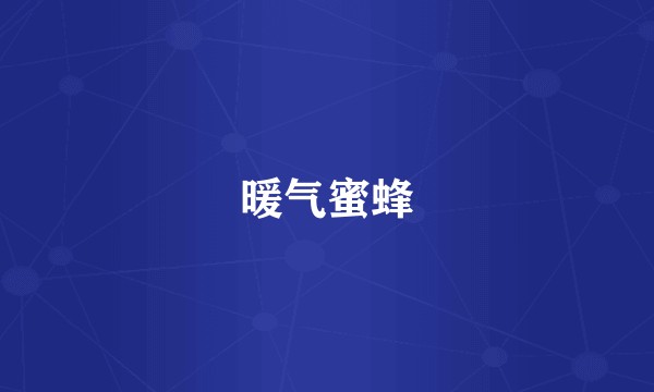 暖气蜜蜂