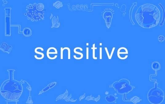Sensitive（英语单词）