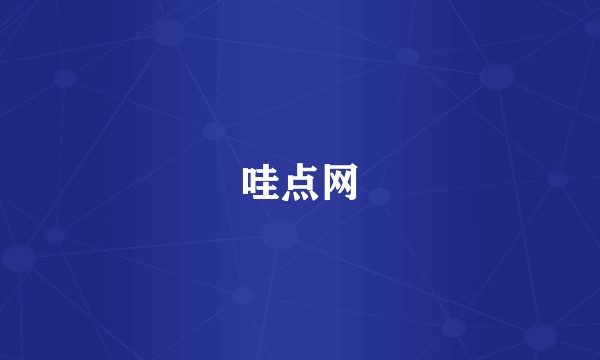 哇点网