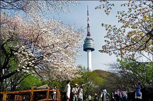 南山公园(韩国首尔南山公园)