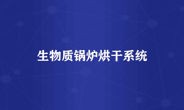生物质锅炉烘干系统