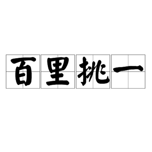 百里挑一（成语）