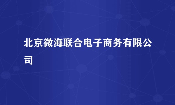 北京微海联合电子商务有限公司