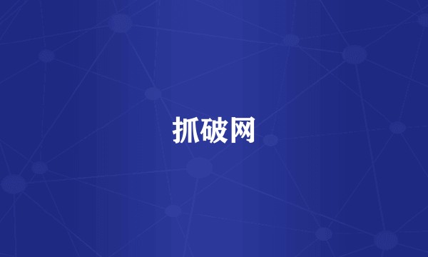 抓破网