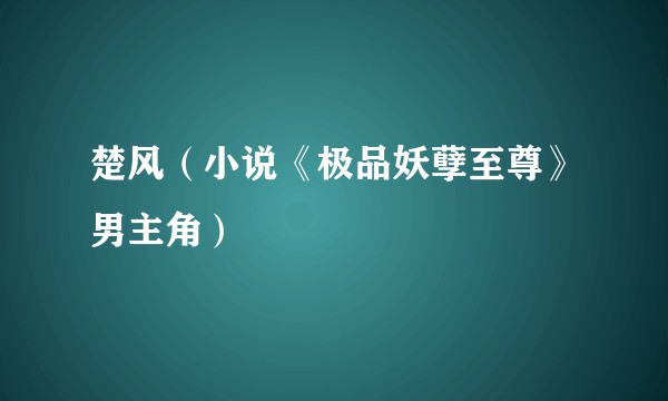楚风(小说《极品妖孽至尊》男主角)