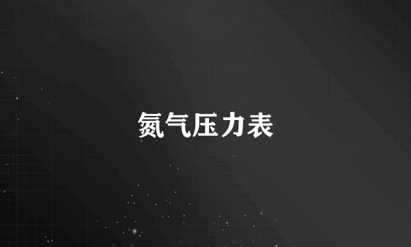 氮气压力表