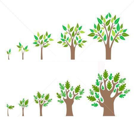 GROWTH(生物体由小到大的过程)