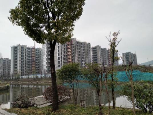 钱江彩虹府