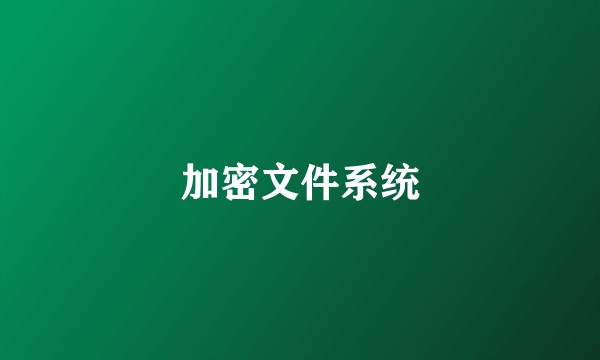 加密文件系统
