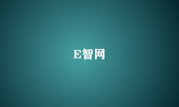 E智网