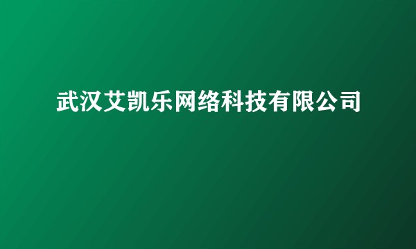 武汉艾凯乐网络科技有限公司