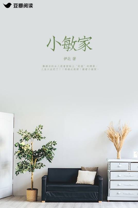 小敏家（伊北创作的婚姻生活类网络小说）