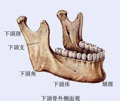 下颌角整形