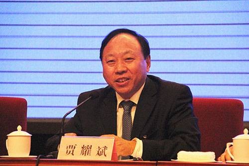 贾耀斌(武汉市关心下一代工作委员会主任)