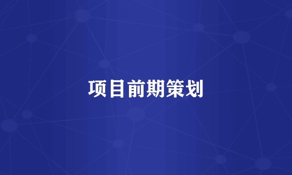 项目前期策划