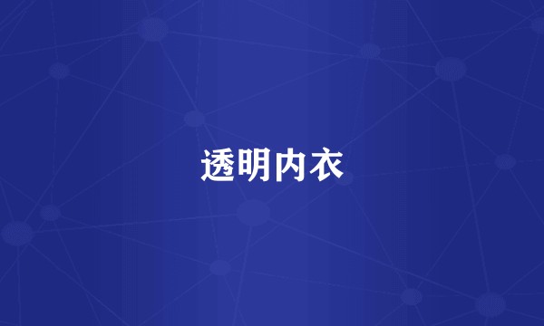 透明内衣