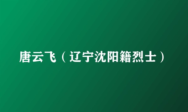 唐云飞（辽宁沈阳籍烈士）