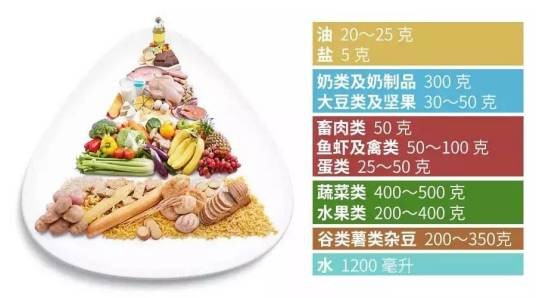 平衡膳食