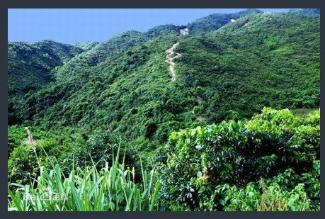 羊蹄岭