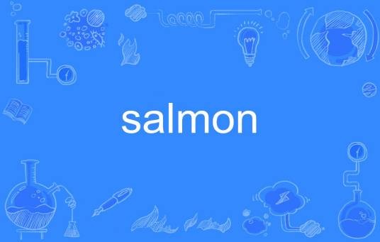 salmon（英文单词）