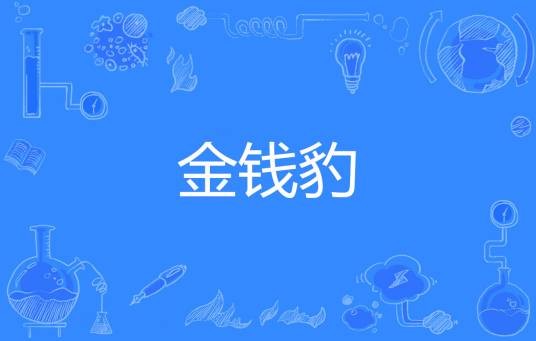 金钱豹（网络流行梗）