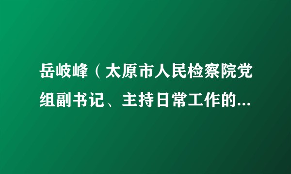 岳岐峰（太原市人民检察院党组副书记、主持日常工作的副检察长）