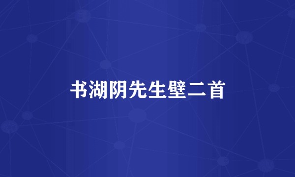 书湖阴先生壁二首