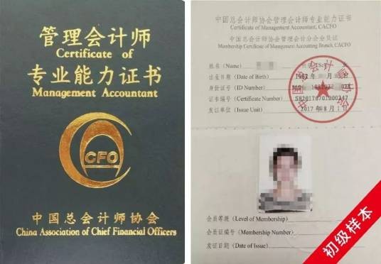初级管理会计师(职业名称)