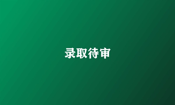 录取待审