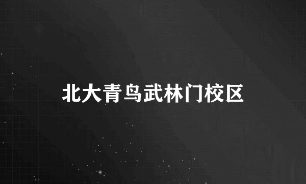 北大青鸟武林门校区