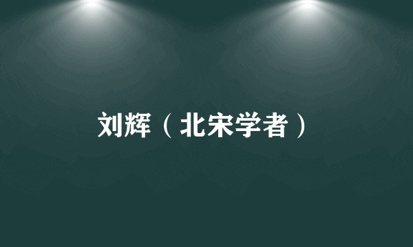 刘辉（北宋学者）