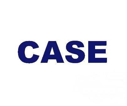 CASE（英语单词）